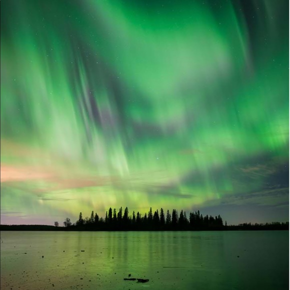 Meet your Posher, Laura - Picture 7 of 8